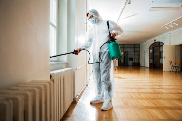 Best Fumigation Services  in Ironton, MO